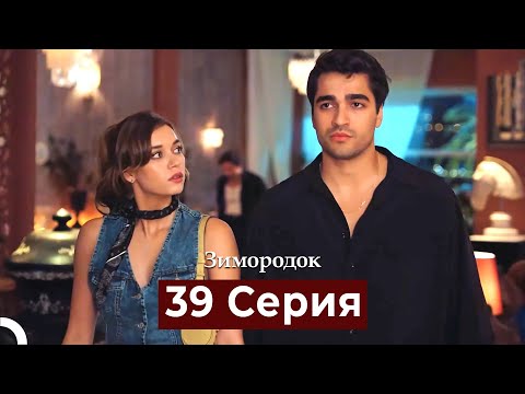 Видео: Зимородок 39 Cерия (Русский дубляж)