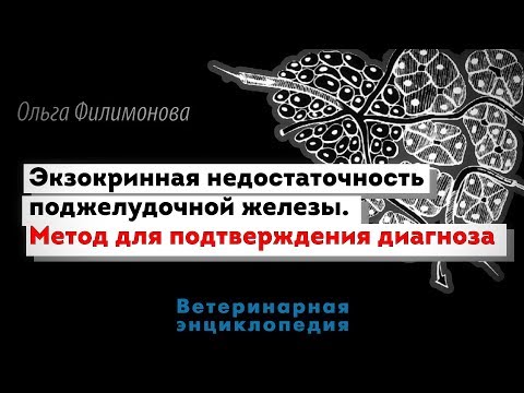 Видео: Диагностика ЭНПЖ,. Метод для подтверждения диагноза