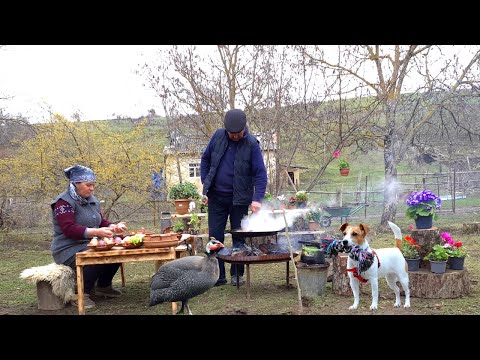 Видео: Готовим Целую Цесарку на Костре в Томатном Соусе 