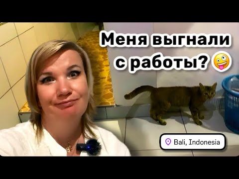 Видео: 🤪 43. Меня выгнали с работы? Хейтеры всё лучше знают. Манька вернулась! Теперь тусуемся вместе.