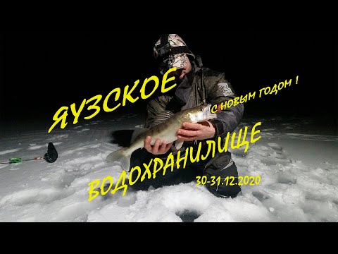 Видео: Судак взбесился в предновогоднюю ночь! Ночная рыбалка на ЯУЗСКОМ  ВДХР.! Жерлица на судака!