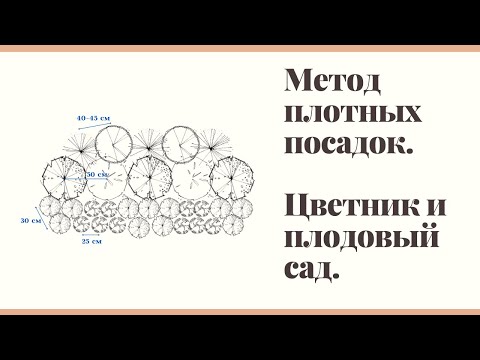 Видео: Метод плотных посадок в цветниках и плодовом саду.