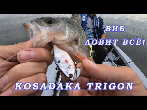 Видео: Очень хороший Виб ЛОВИТ ВСЁ! Kosadaka Trigon. Виб для окуня и щуки и судака!