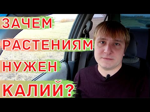 Видео: Калий и Калийные удобрения.