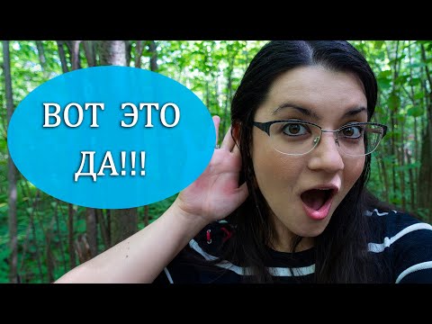 Видео: Почему люди сплетничают? Сплетни как индикатор доверия и способ выживания в обществе