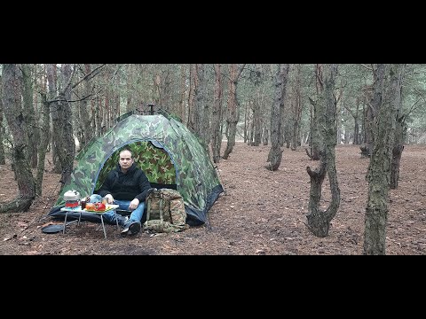 Видео: ПВД 2023 | Поодинокий похід до лісу | SOLO BUSHCRAFT CAMP