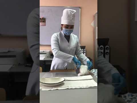 Видео: Құлақ маңына жылытқыш компрессін қою алгоритмі