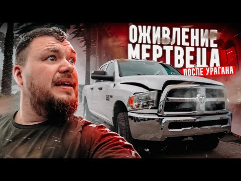 Видео: ОЖИВЛЯЕМ Dodge Ram 6.4 после урагана! 100$ на ремонт