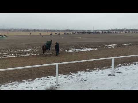 Видео: Байтегин