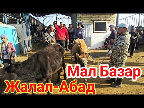 Видео: Мал Базар Жалал-Абад 