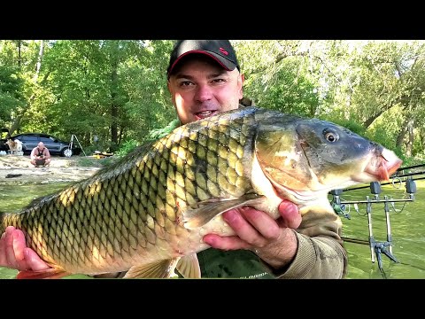 Видео: Рибалка на Міляках в Центрі міста !!! Осінні Машки на зв'язку !!!