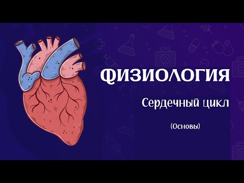 Видео: Понять и НЕ учить | Физиология сердечного цикла