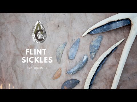 Видео: Доисторические кремневые серпы: орудия земледелия в неолите