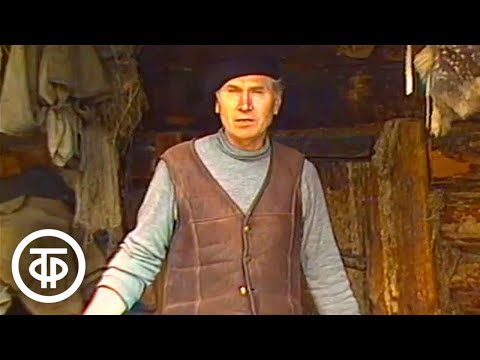 Видео: Таежные робинзоны. Самоизоляция в тайге. Лесные уроки (1987)