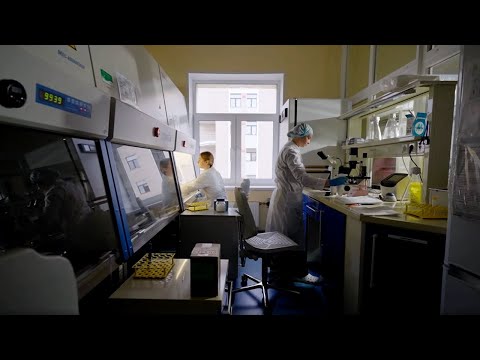 Видео: Выпуск #80 "МГУ в русле инноваций: Центр регенеративной медицины, Межуниверситетская квантовая сеть"