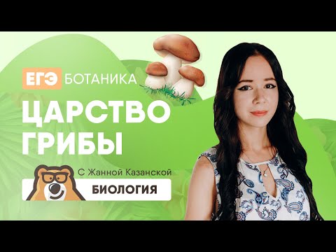 Видео: Царство грибы в ЕГЭ по биологии | Умскул