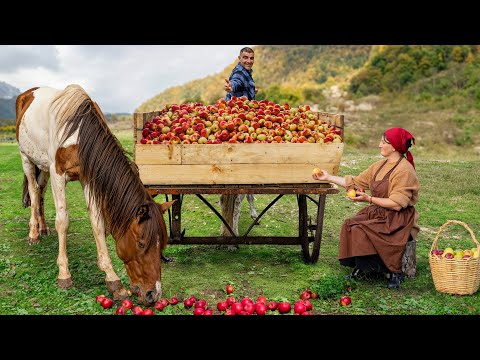 Видео: Сбор яблок в деревне и сладкие рецепты 🍯