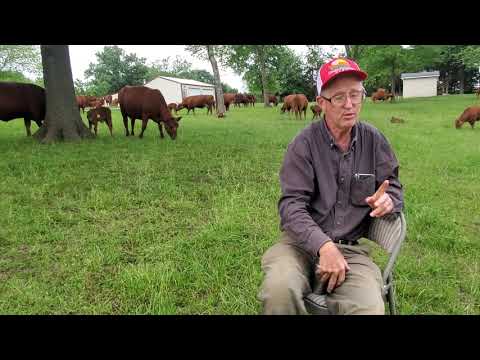 Видео: Грег отвечает на ваши вопросы об овцах от подписчиков YouTube!