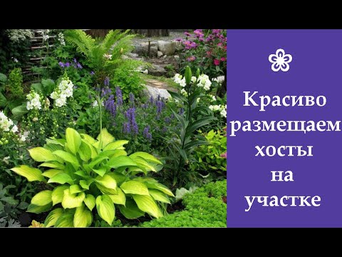 Видео: ❀ Красиво размещаем хосты на участке