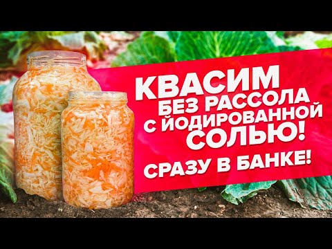 Видео: КВАШЕНАЯ КАПУСТА. САМЫЙ ПРОСТОЙ РЕЦЕПТ