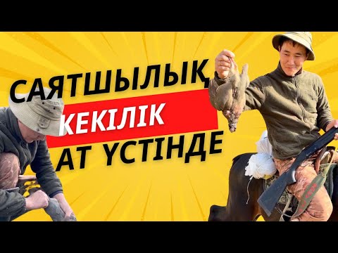 Видео: САЯТШЫЛЫҚ ТАҢБАЛЫ ТАС ЖӘНЕ КЕКІЛІКТЕН ЖАРКОЕ 🔥