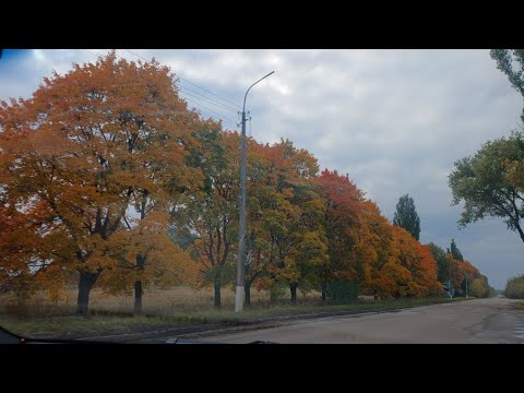 Видео: #домашка #скучно # рукоделие