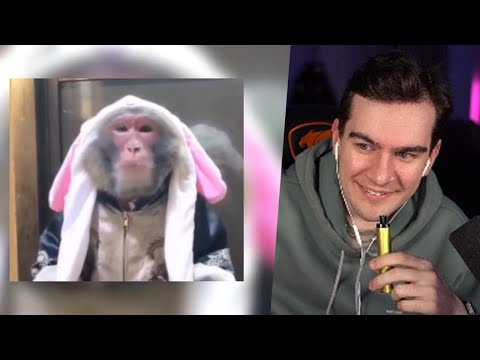 Видео: БРАТИШКИН СМОТРИТ - ДИСС НА НЕКОГЛАЯ / MZLFF, STINT