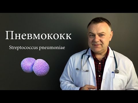 Видео: Педиатр Плюс - Пневмококковая инфекция (Пневмококк)