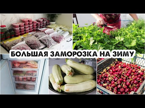 Видео: СЕЗОННАЯ ЗАМОРОЗКА НА ЗИМУ❄️ЯГОДЫ, ОВОЩИ, ЗЕЛЕНЬ🍒ЗАГОТОВКИ НА ЗИМУ🌿ЗАГОТОВКИ В МОРОЗИЛКУ💪КАК ХРАНЮ