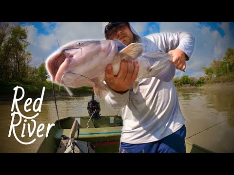 Видео: Осеннее безумие сомов! (Ред-Ривер, Северная Дакота)