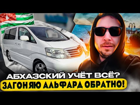 Видео: Абхазский учет всё ? Загоняю Альфард обратно !
