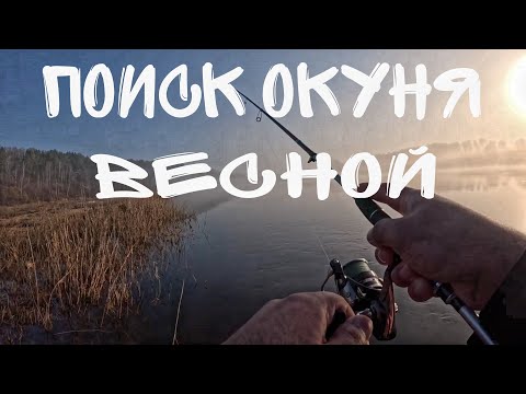 Видео: ПОИСК ОКУНЯ ВЕСНОЙ. РЫБАЛКА ОНА ТАКАЯ... РЫБАЛКА НА СПИННИНГ.