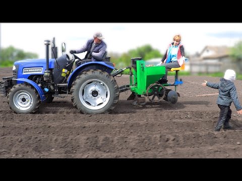 Видео: Так сажать картошку – ОДНО Удовольствие!