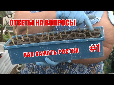 Видео: ответы на вопросы №1 | посадка ростков | кликбейты | грунты