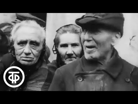 Видео: Летопись полувека. Год 1917