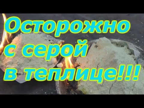 Видео: ОБРАБОТКА ТЕПЛИЦЫ СЕРОЙ - БУДЬТЕ ОСТОРОЖНЫ!