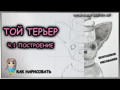 Видео: Как нарисовать собаку карандашом / Той-терьер в шапке / Мастер-класс / Часть 1. Построение