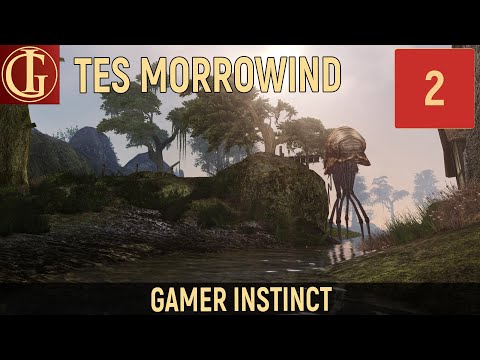 Видео: ПРОХОЖДЕНИЕ MORROWIND | ЧАСТЬ 2 - СБОРЩИК НАЛОГОВ