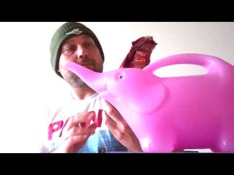 Видео: ЧАЙ СО СЛОНОМ/о Маслаеве/