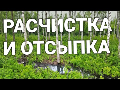 Видео: БОЛОТО 25 соток: Осушение и отсыпка, расчистка от леса и поросли.