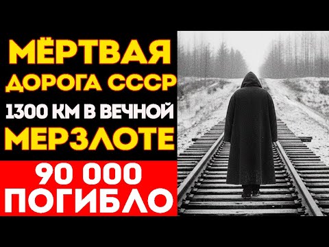 Видео: ШОКИРУЕЩЕЕ ДЕЛО НАКОНЕЦ-ТО  РАСКРЫТО: Дорога СМЕРТИ Салехард Игарка  1300 КМ В НИКУДА!