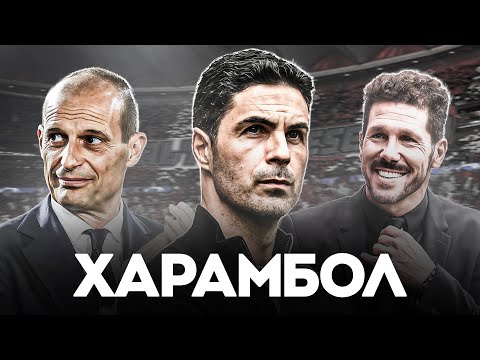 Видео: ХАРАМБОЛ Как Смысл Жизни