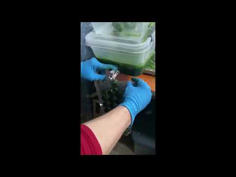 Видео: Лучшая соковыжималка для витграсс | Малышка 2