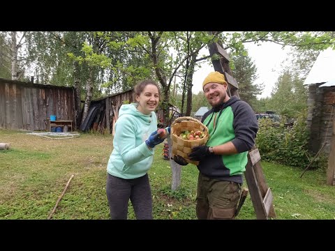 Видео: ЧТО СТАЛО С ДОМОМ В ДЕРЕВНЕ. ФАЗЕНДА В ГЛУШИ. ДЕЛА ВО ДВОРЕ. СБОР УРОЖАЯ. ДЕРЕВЕНСКАЯ ЖИЗНЬ