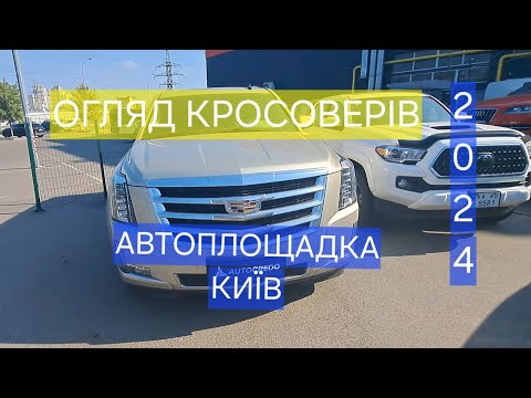 Видео: ЦІНИ НА КРОСОВЕРИ | Авторинок КИЇВ | ОГЛЯД 21.09.2024