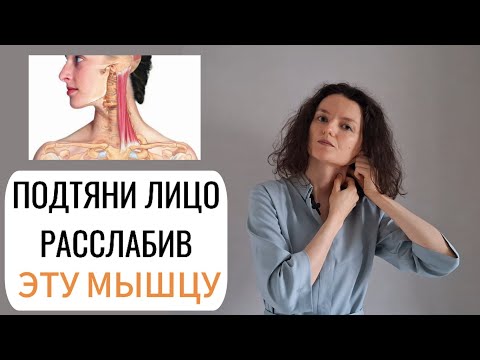 Видео: БРЫЛИ и НОСОГУБКИ уйдут, если расслабить эту МЫШЦУ #брыли #красота #лицо #здоровье #массаж