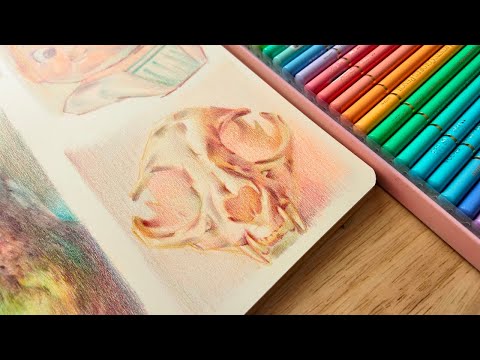 Видео: Как я изучаю референсные фотографии цветными карандашами — emrouleauart