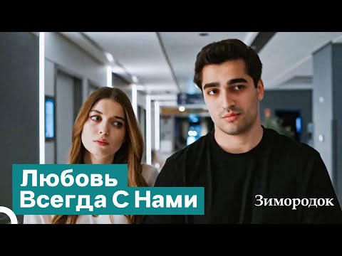 Видео: Давай Примем, Что Наши Судьбы Стали Одним Целым | Зимородок