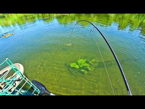 Видео: КОМУ СКАЗАТЬ НЕ ПОВЕРЯТ! РАЗВЕ ТАКОЕ ВОЗМОЖНО!? ДИЧАЙШИЙ ЖОР! Рыбалка на спиннинг 2023.