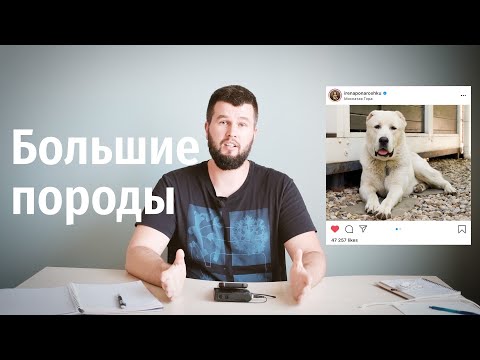 Видео: Натуральное питание больших пород собак